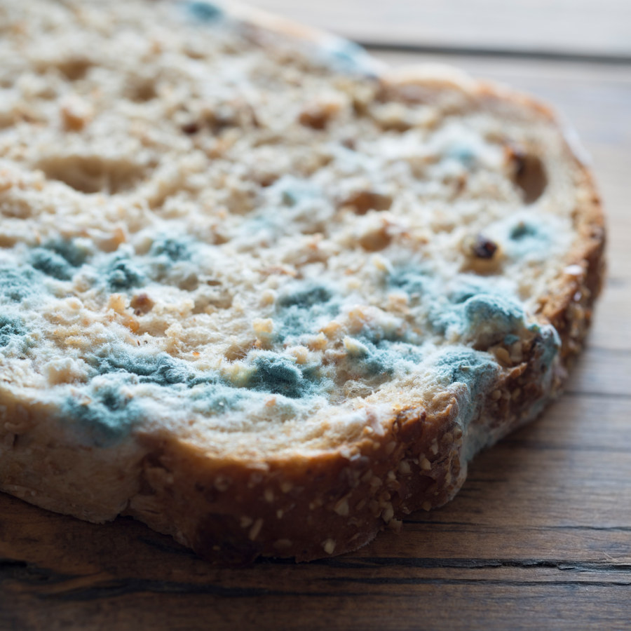 Brot mit Schimmel